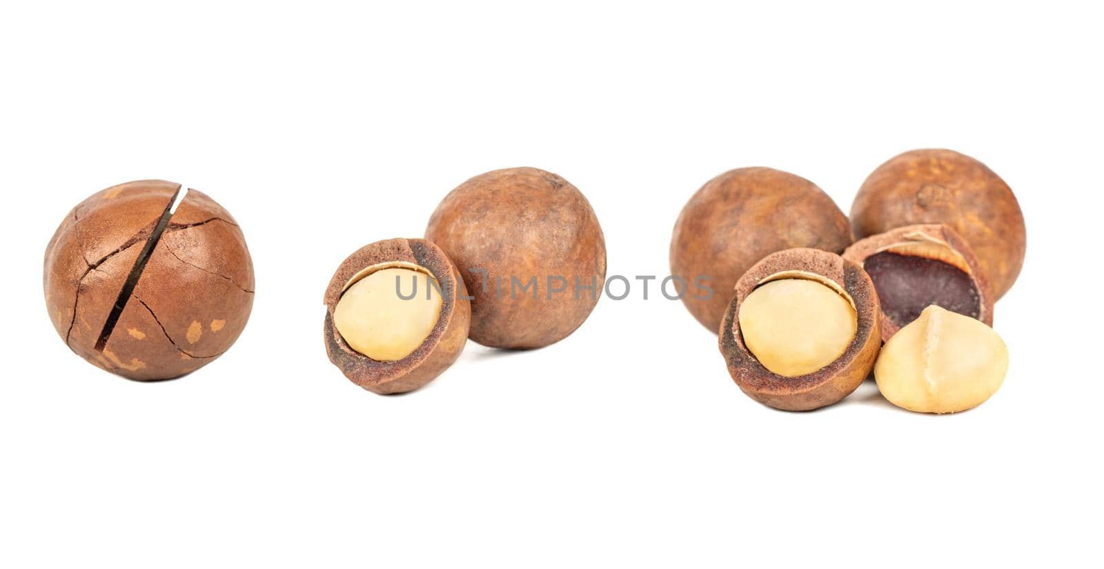 Macadamia nuts with peeled macadamia isolated on a white background. Set