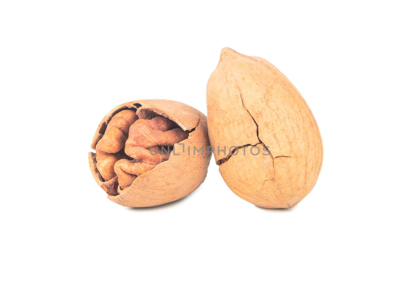 Two shelled pecans isolated on white background