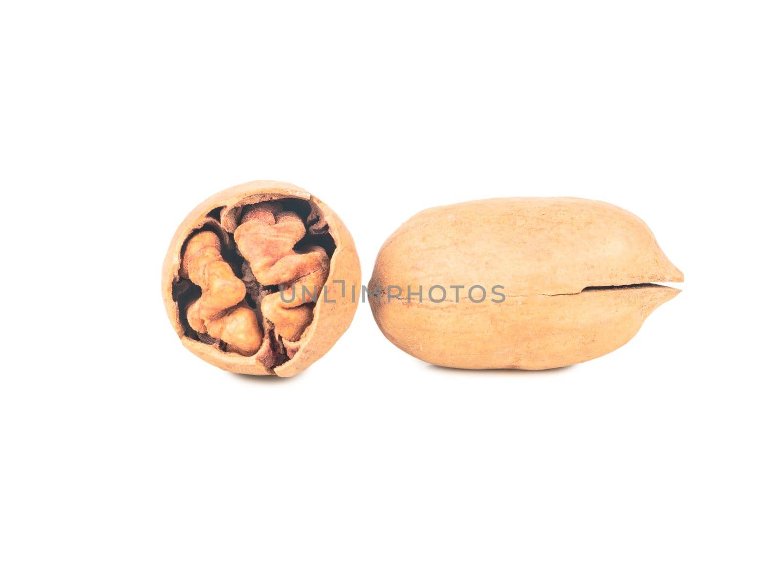 Two shelled pecans isolated on white background