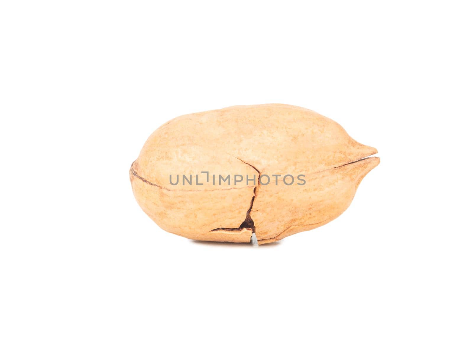 Pecan nut in shell isolated on white background