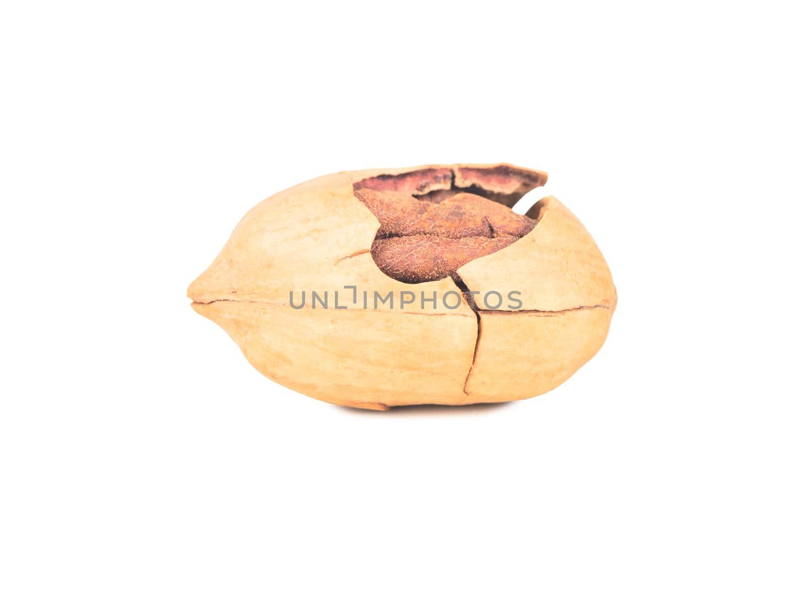 Pecan nut in cracked shell isolated on white background