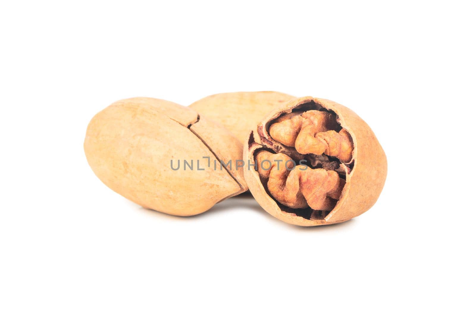 Three pecans in shell isolated on white background