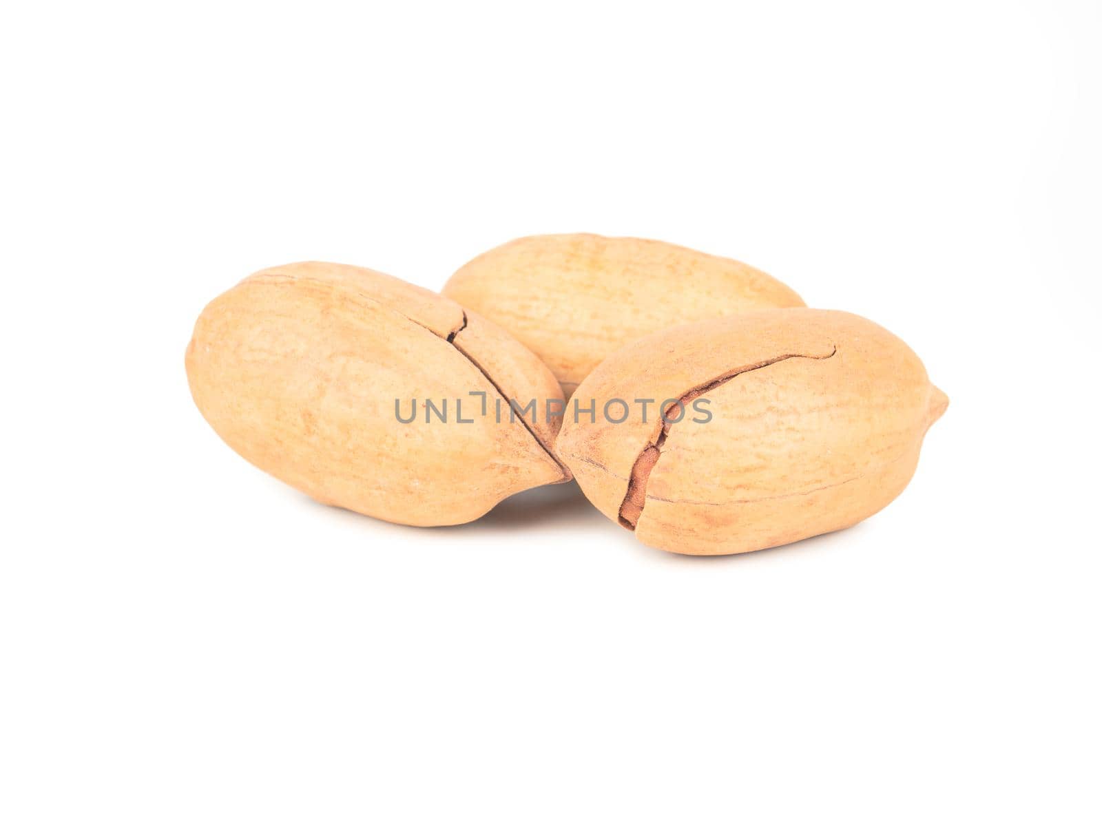 Three fresh pecans in shell on white background