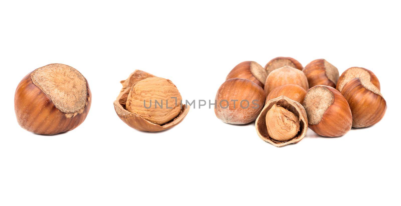 Hazelnut in shell isolated on white background. Set or collection