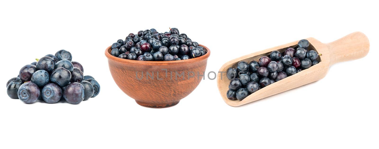 Blueberry berries isolated on white background. Collection.