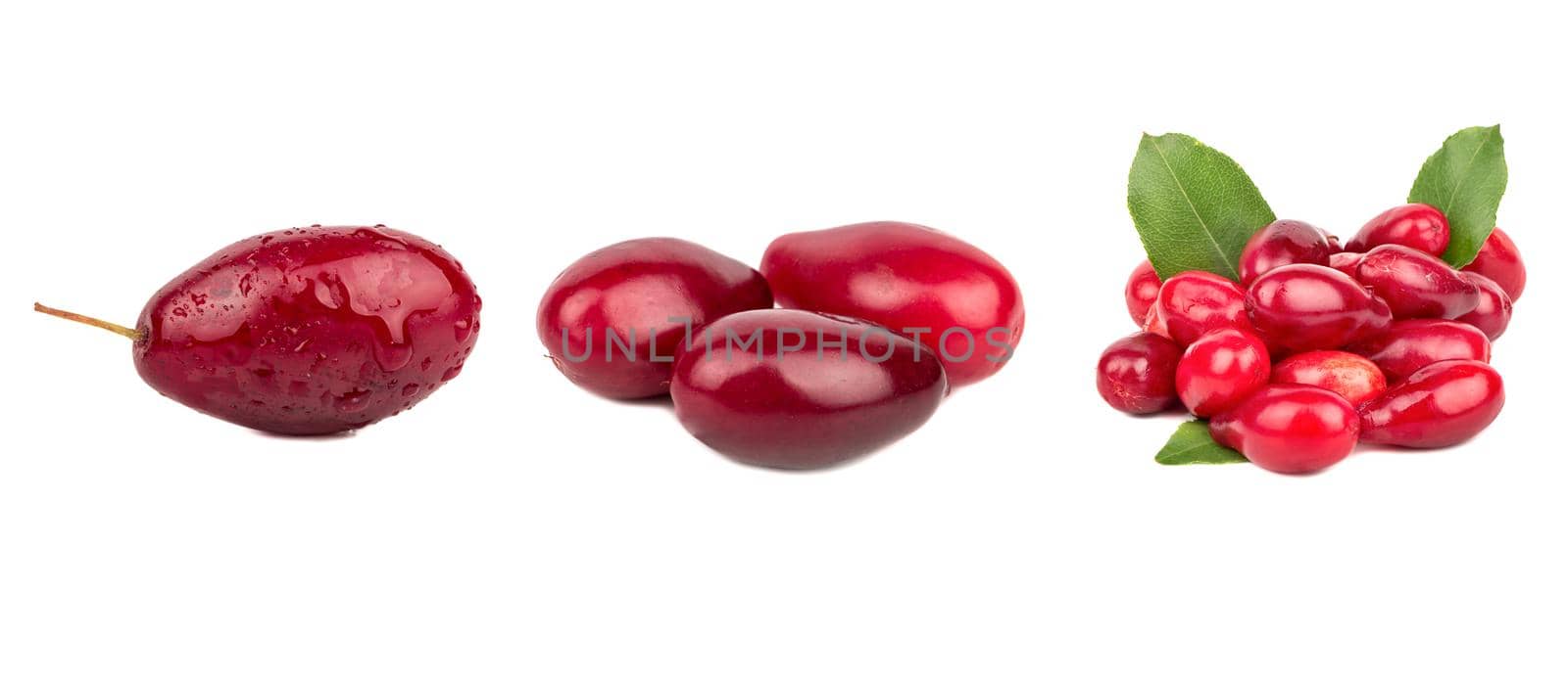 Set of ripe red dogwood berries on white background.