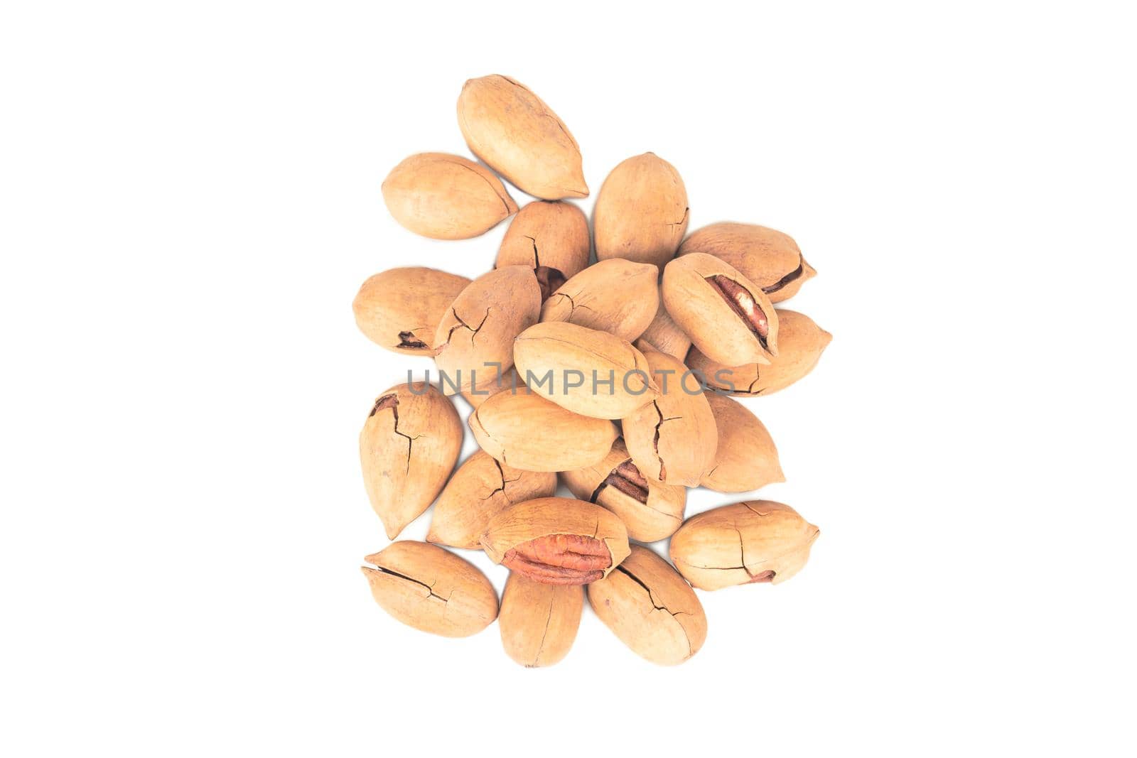 Scattered pecans in shell on white background top view