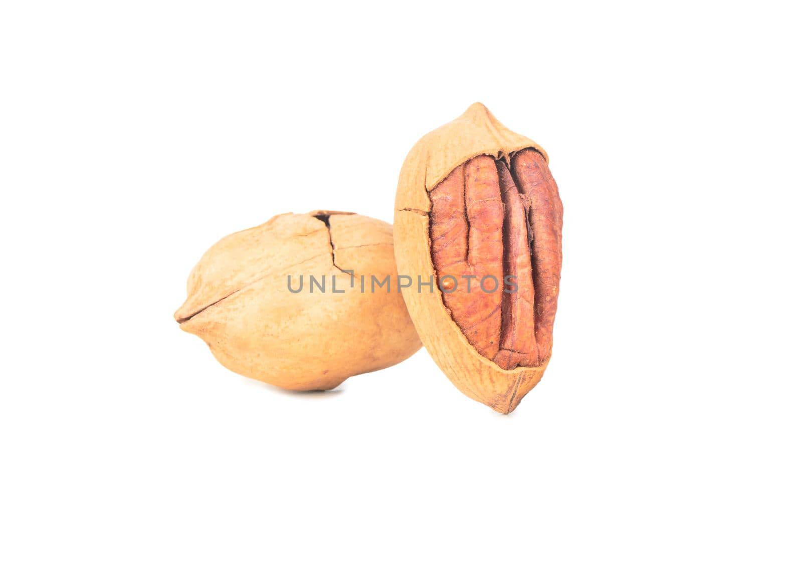 Two dry pecans in cracked shells on a white background