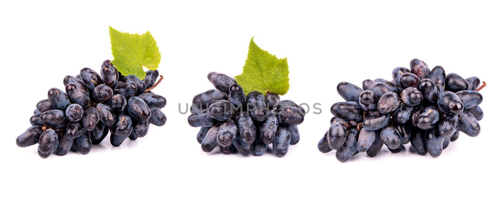 Grape isolate set by andregric