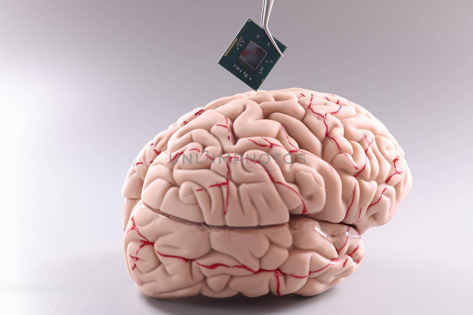 Anatomy of human brain with computer chip. Artificial intelligence chips concept