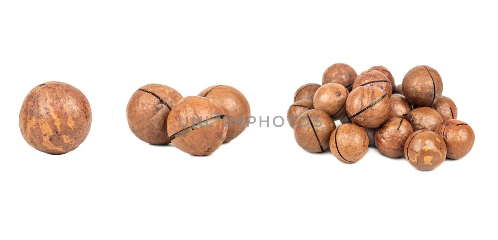 Macadamia nuts with peeled macadamia isolated on a white background. Set