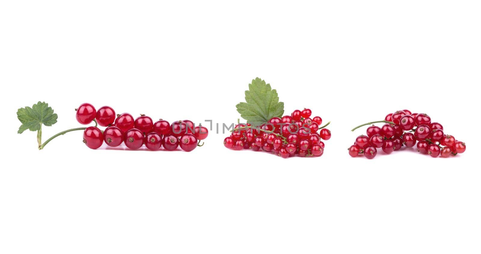 Branch of red currant isolate, set by andregric