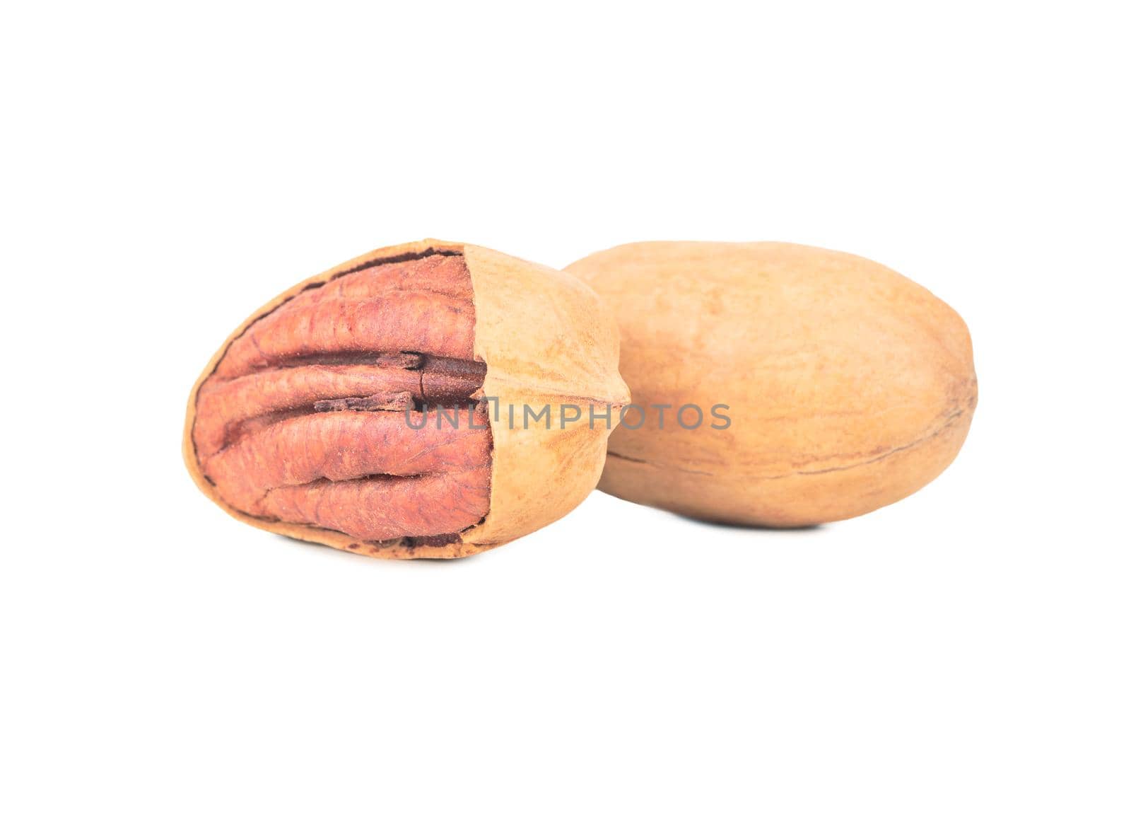 Two shelled pecans isolated on white background