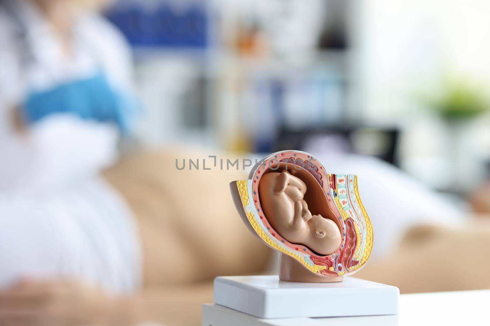 Ultrasound test and ultrasound of baby fetus during pregnancy by kuprevich