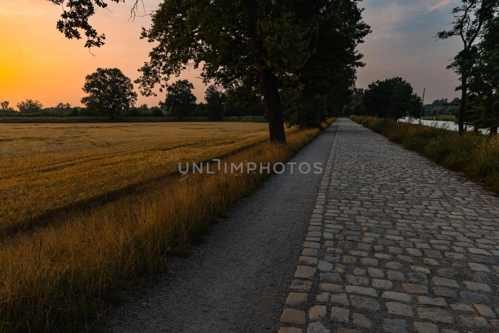 Beautiful cloudy sunrise over big field on left side of trees and blue sky over long stony path and river by Wierzchu