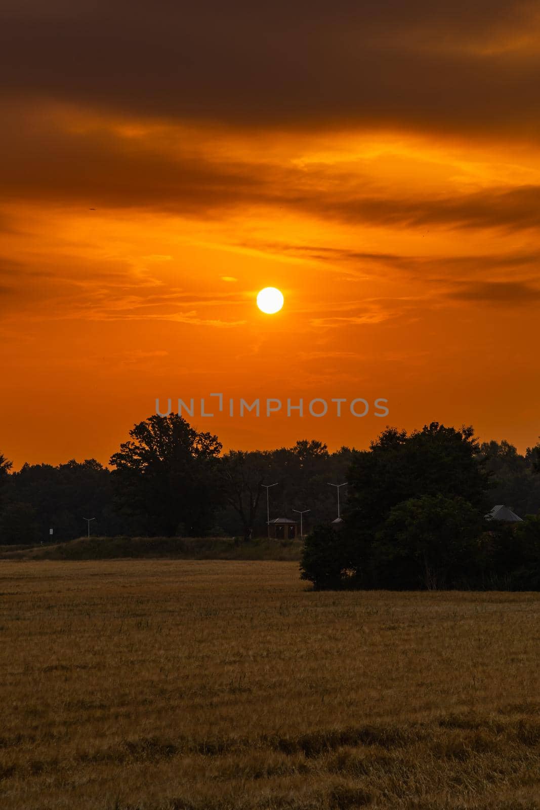 Beautiful cloudy sunrise over big yellow field and trees of forest