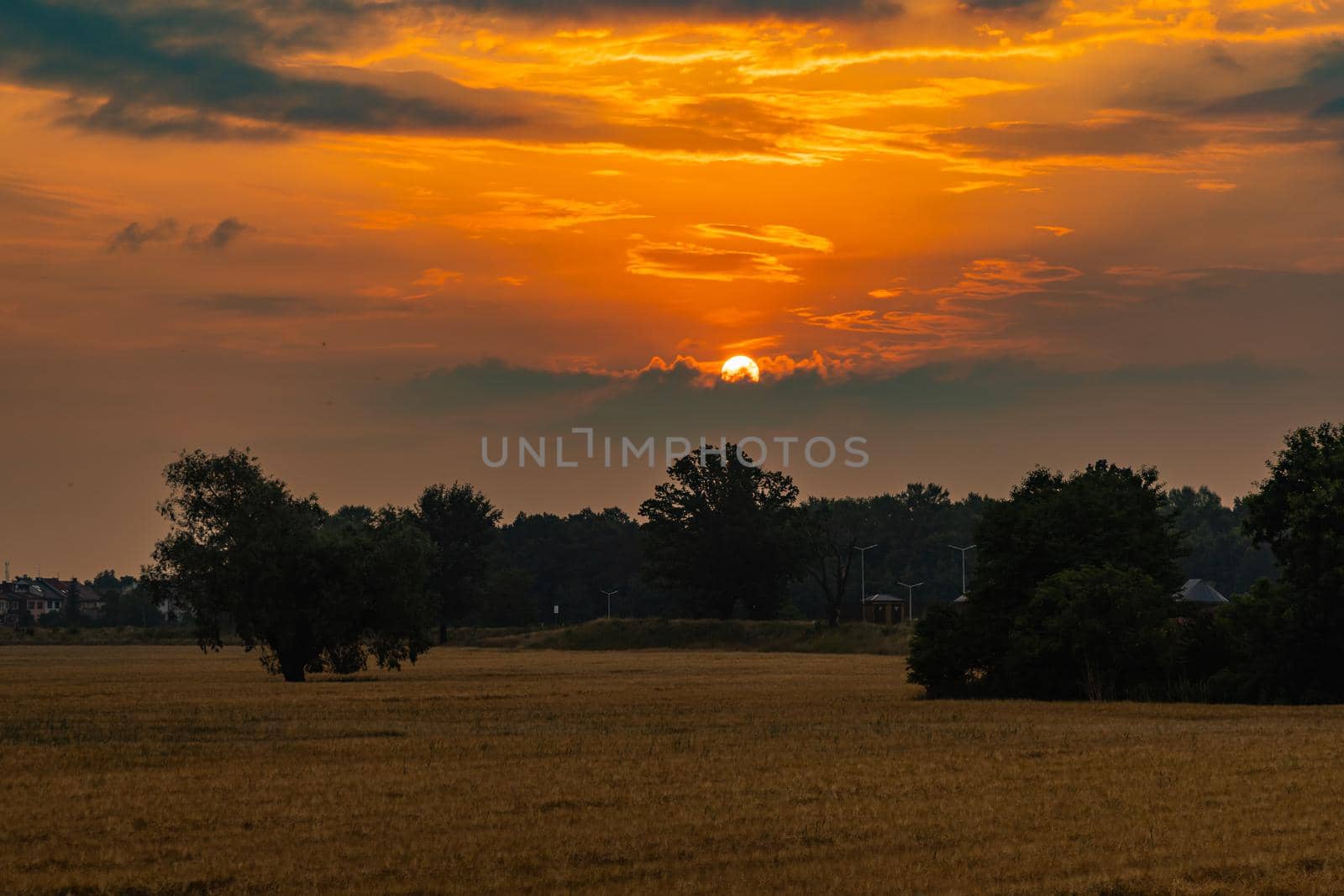 Beautiful cloudy sunrise over big yellow field and trees of forest