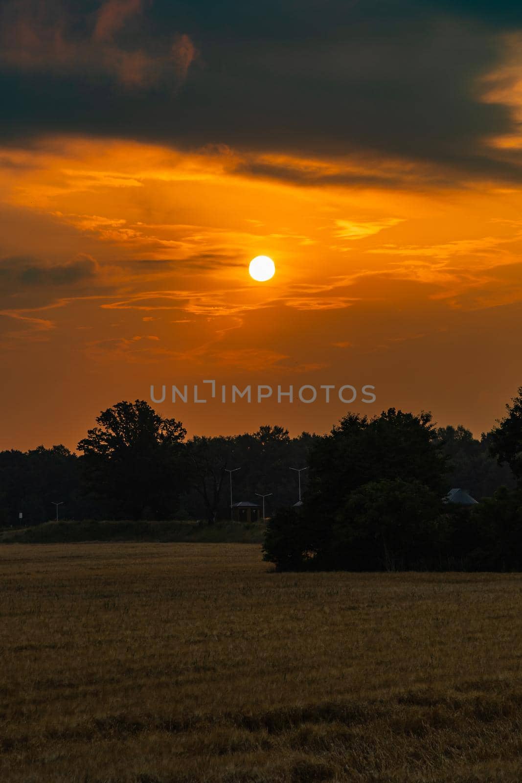 Beautiful cloudy sunrise over big yellow field and trees of forest