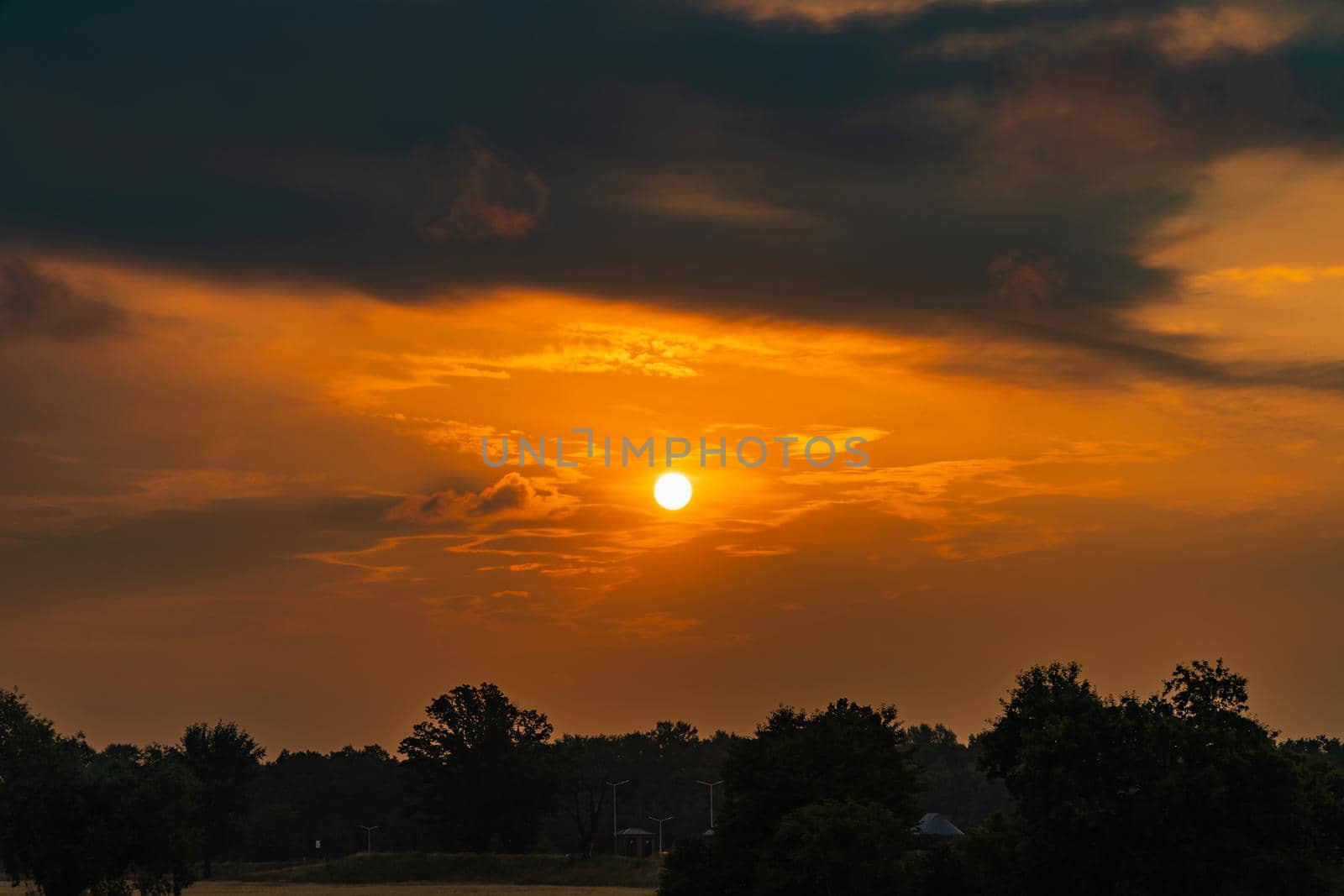 Beautiful cloudy sunrise over big yellow field and trees of forest