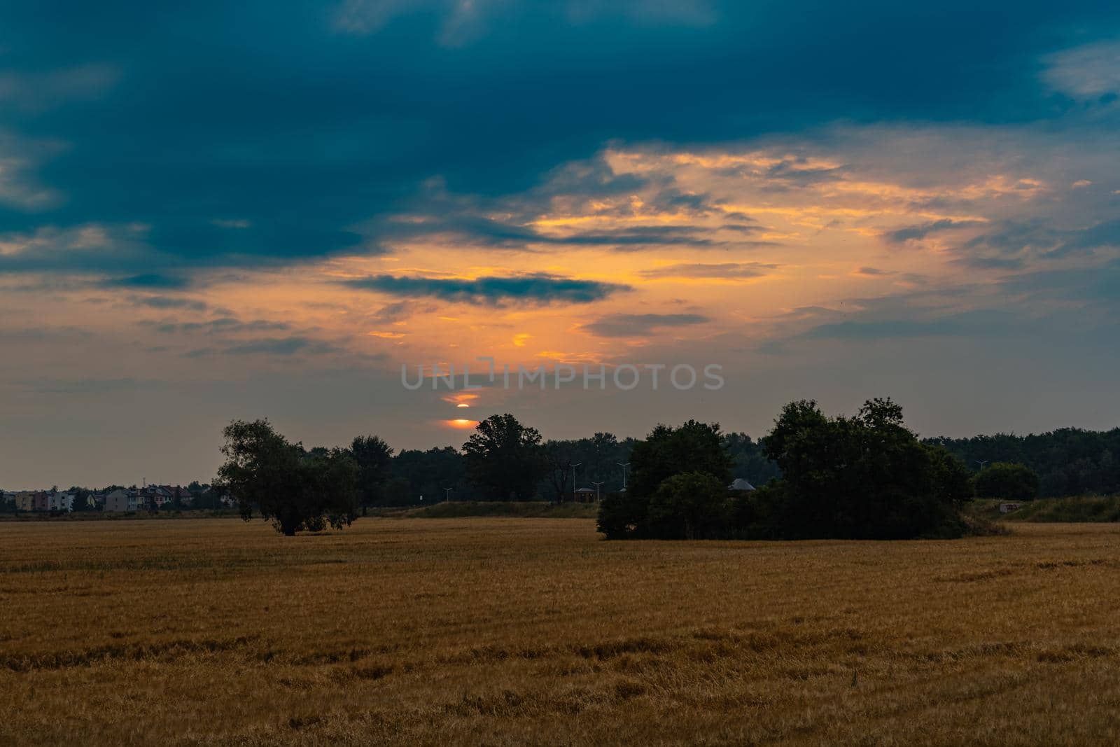 Beautiful cloudy sunrise over big yellow field and trees of forest by Wierzchu