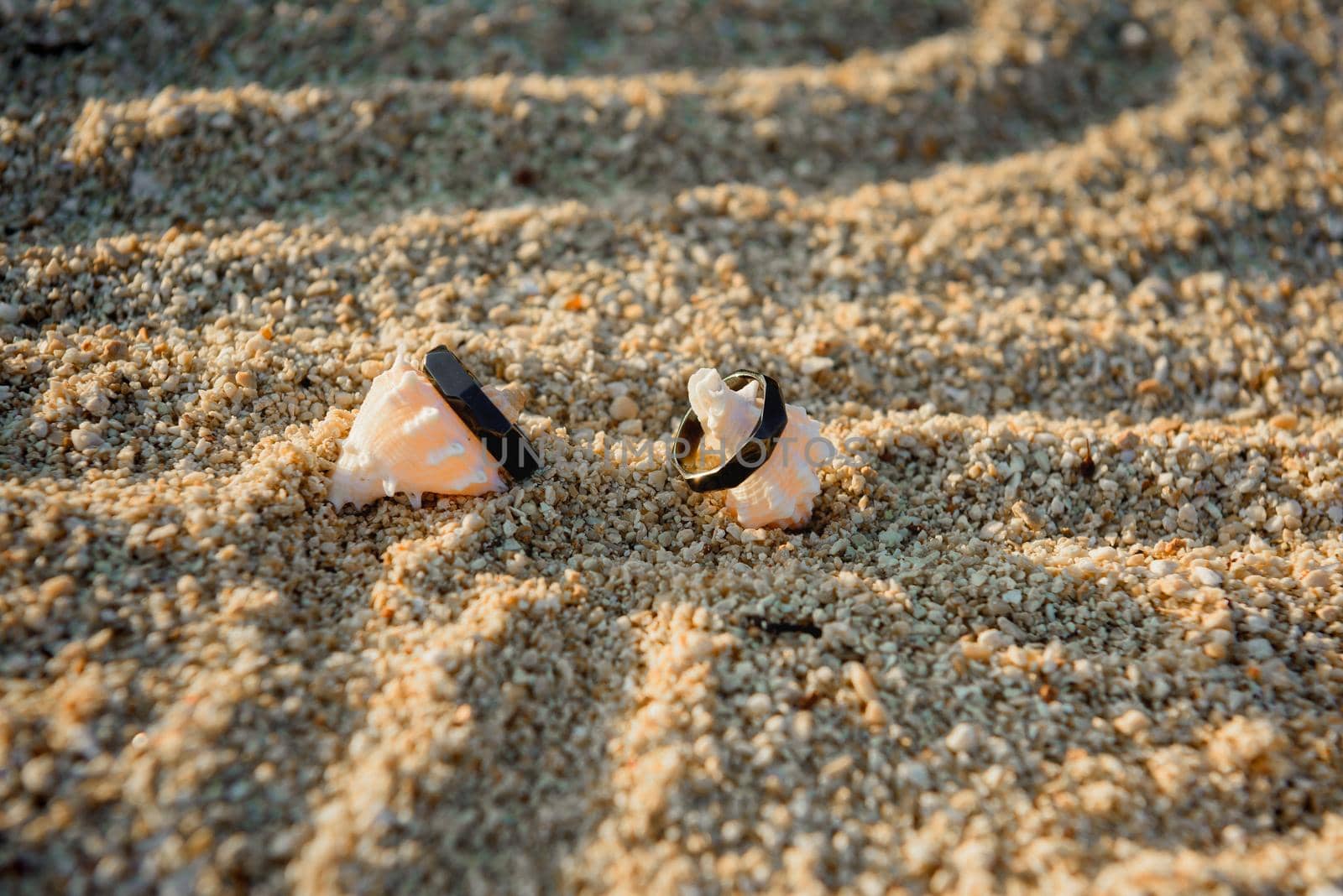 Two black rings lie on the hermit shells in the sand. by Kai_Grim