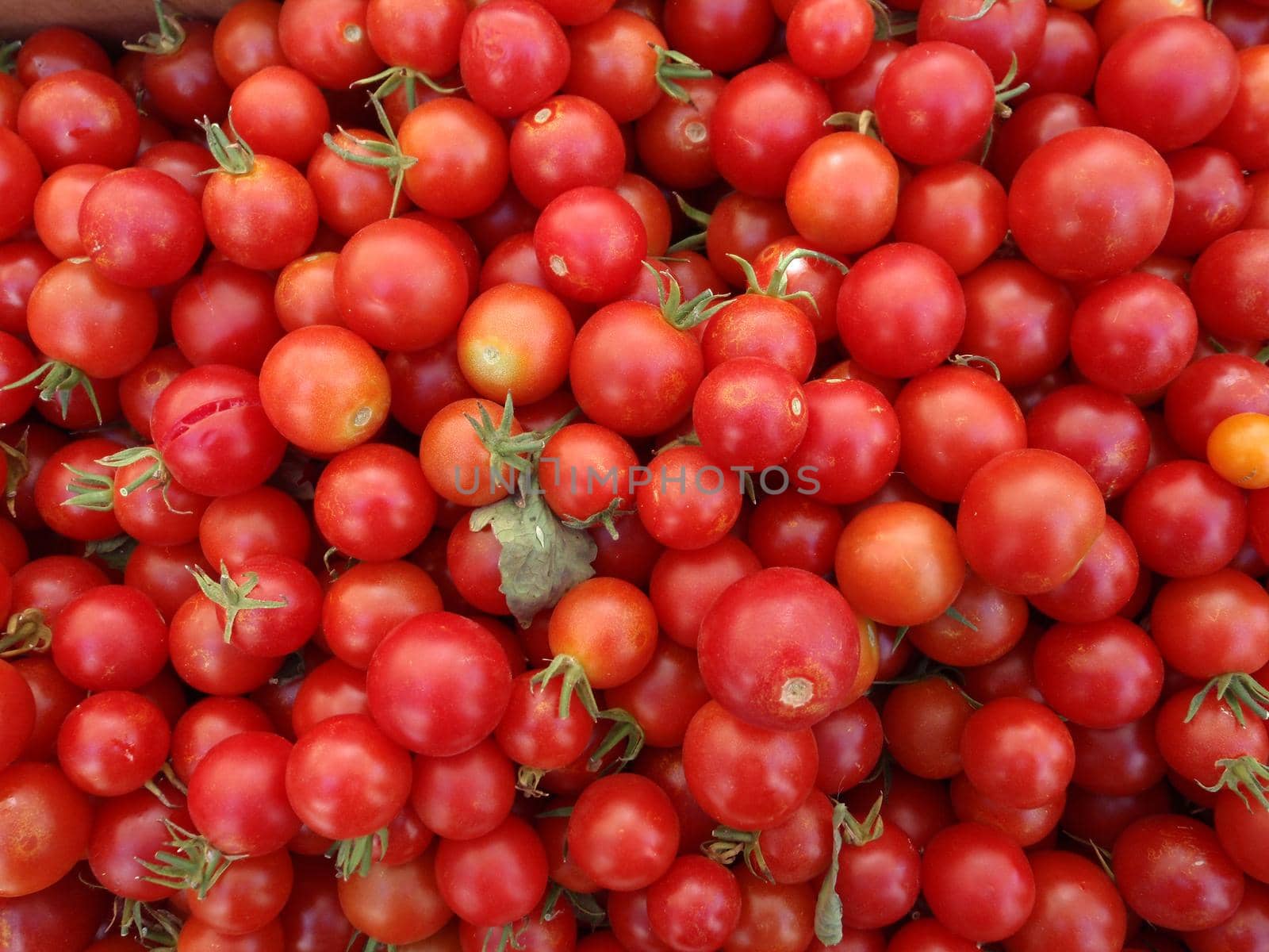 Bunch of Rosy Red Cherry Tomatos by EricGBVD