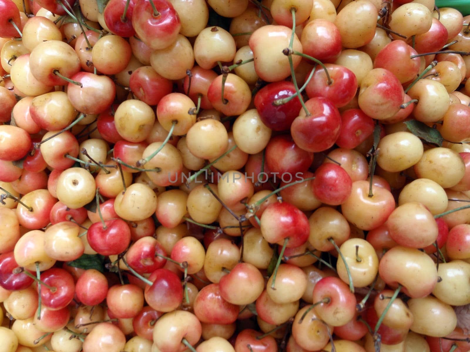 Bunch of red and yellow cherry at a farmers market in San Francisco