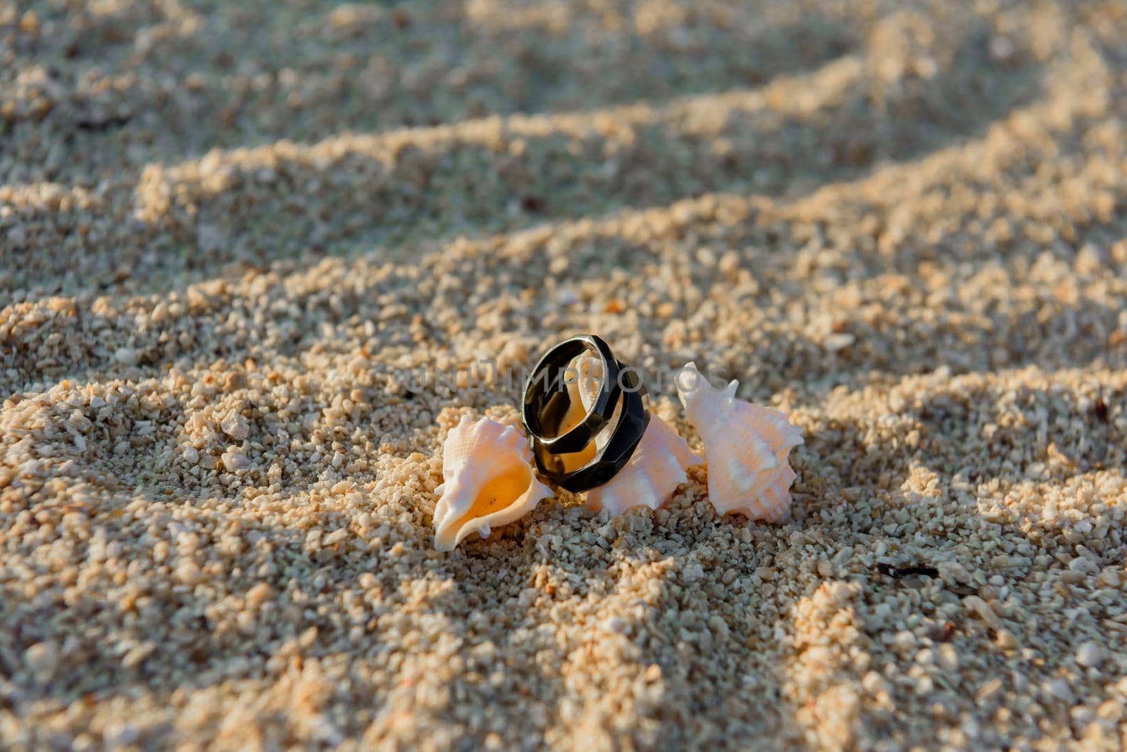 Two black rings lie on the hermit shells in the sand. by Kai_Grim