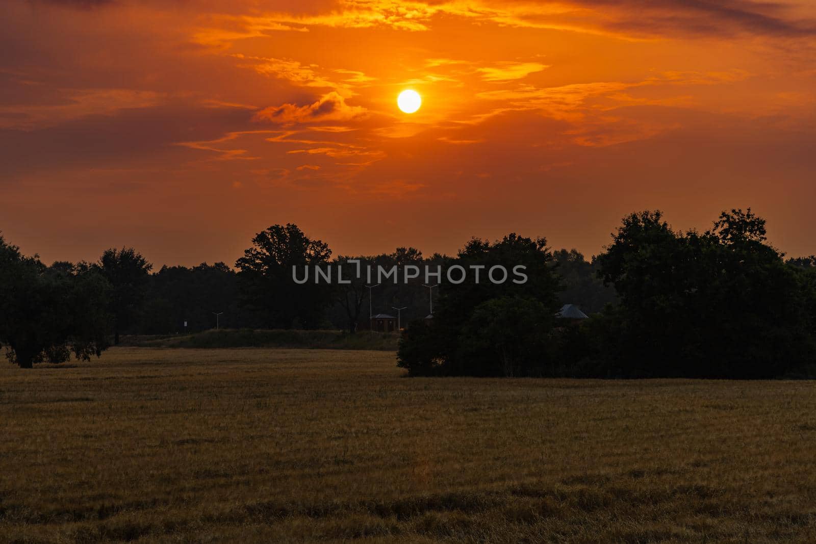 Beautiful cloudy sunrise over big yellow field and trees of forest