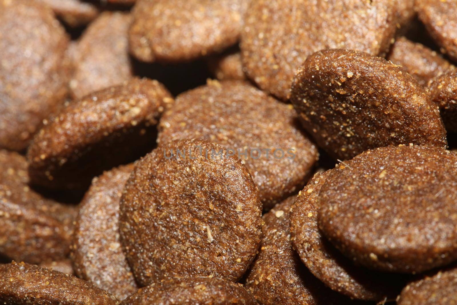 Dogs dry round food close up animals eating background high quality big size print by BakalaeroZz