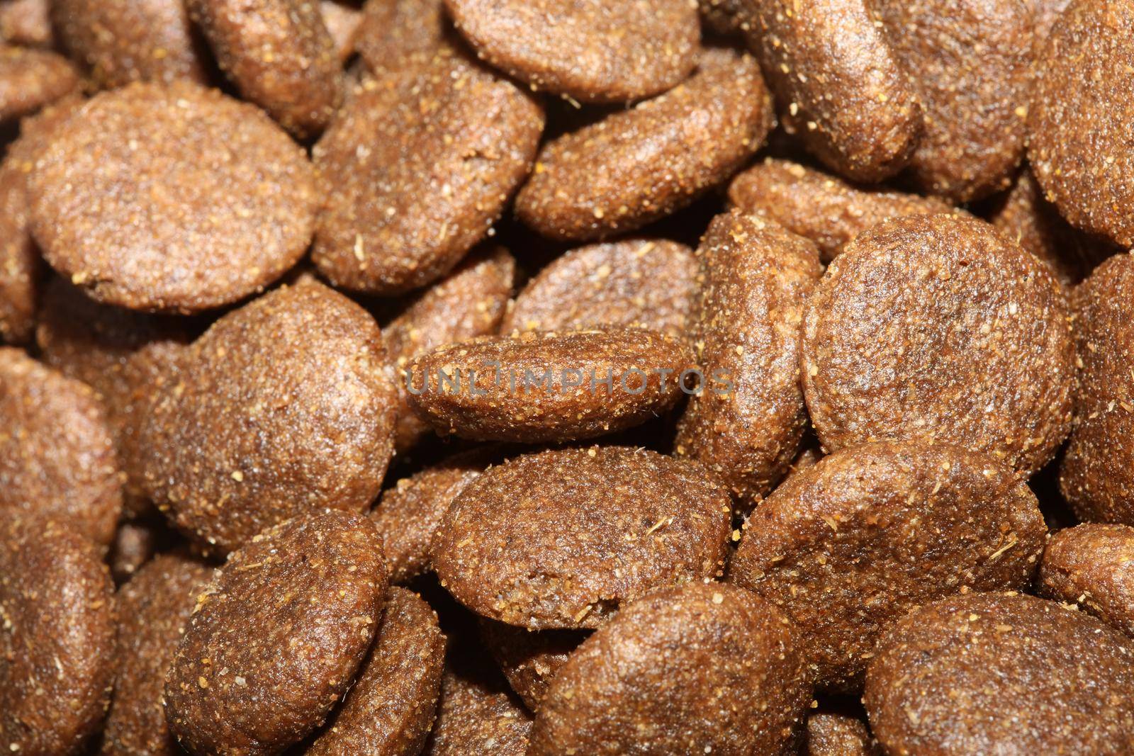 Dogs dry round food close up animals eating background high quality big size prints