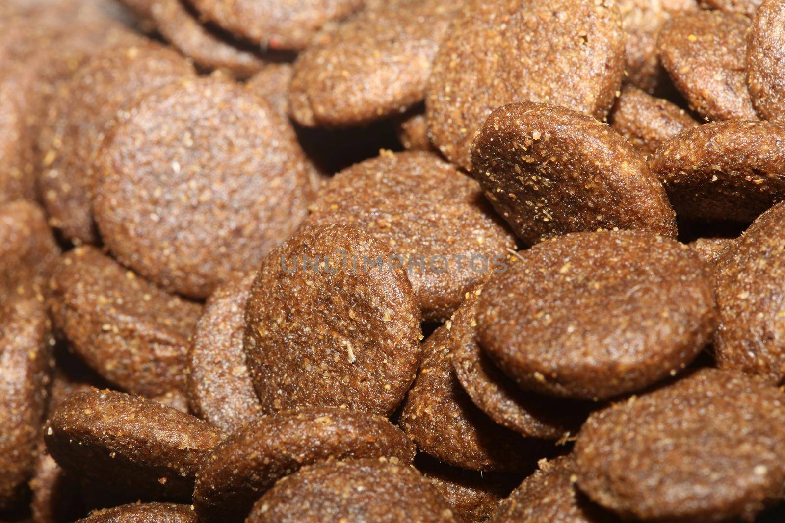 Dogs dry round food close up animals eating background high quality big size prints