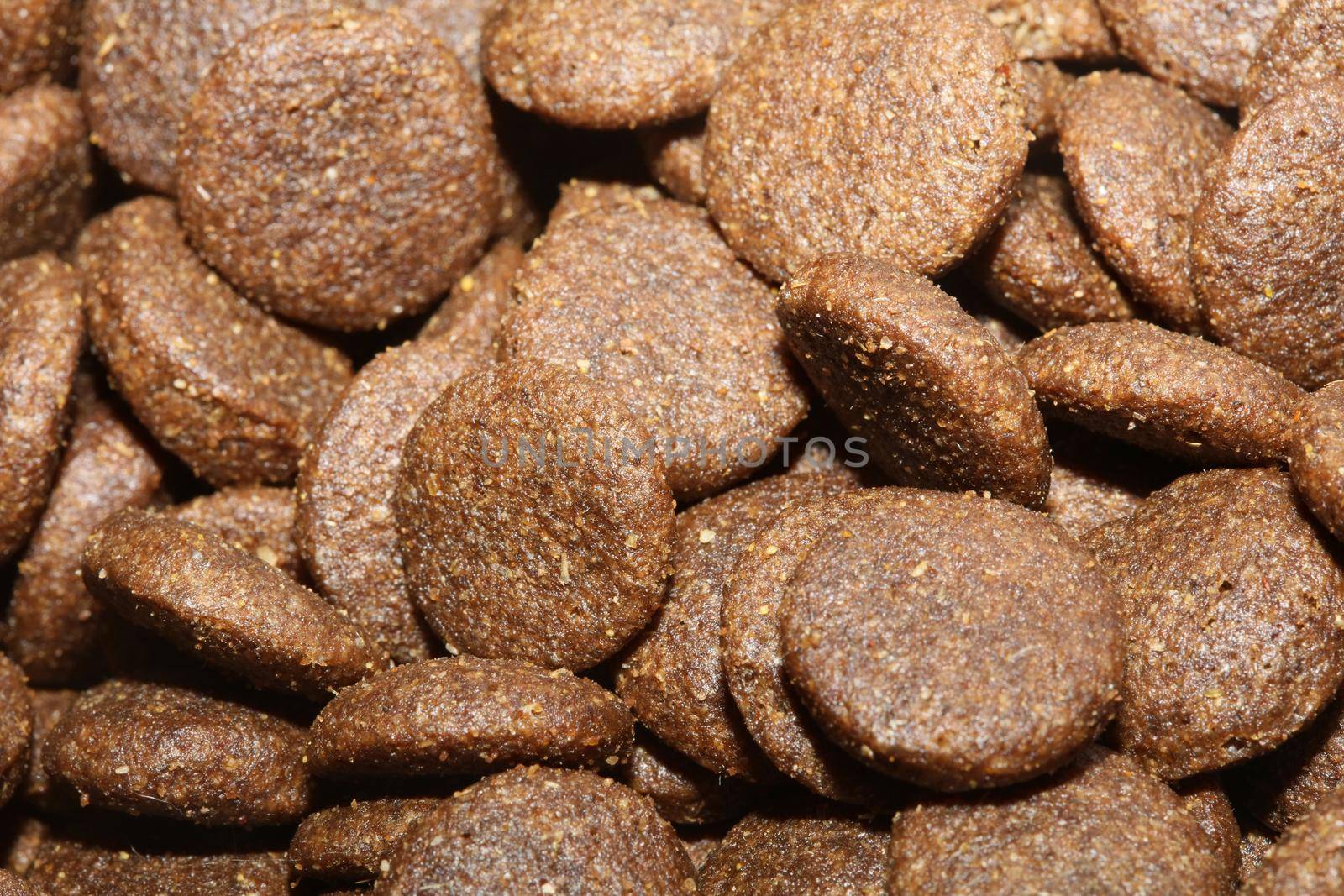 Dogs dry round food close up animals eating background high quality big size print by BakalaeroZz