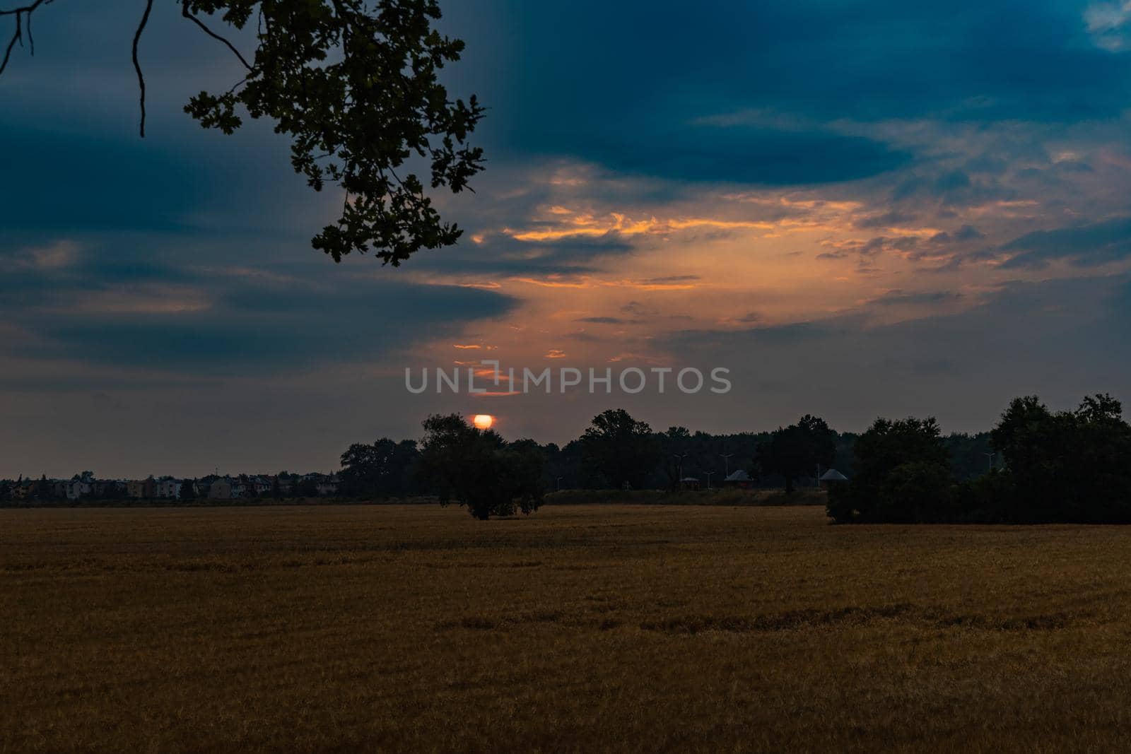 Beautiful cloudy sunrise over big yellow field and trees of forest by Wierzchu