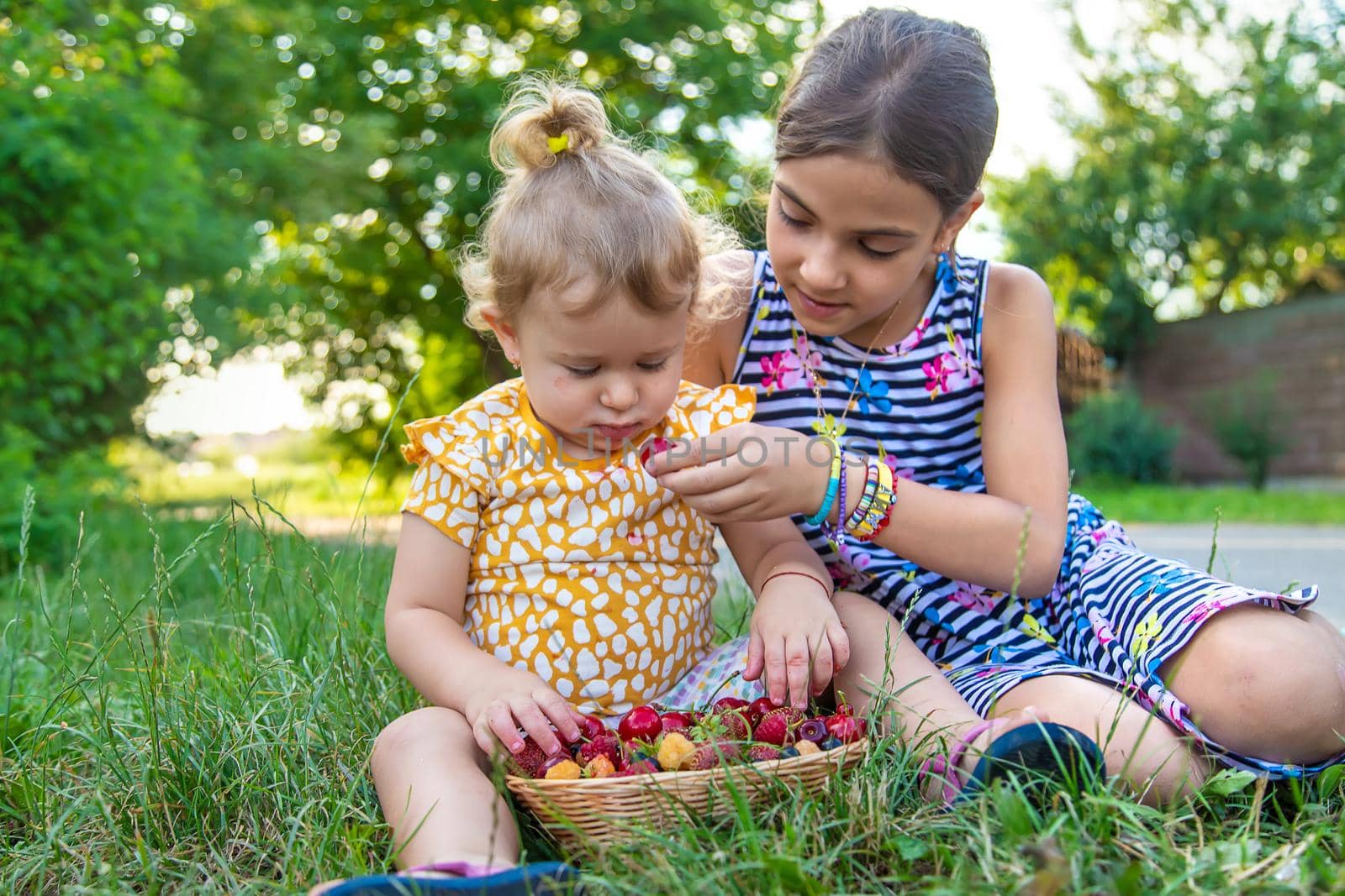 The child eats berries in the garden. Selective focus. Kid.