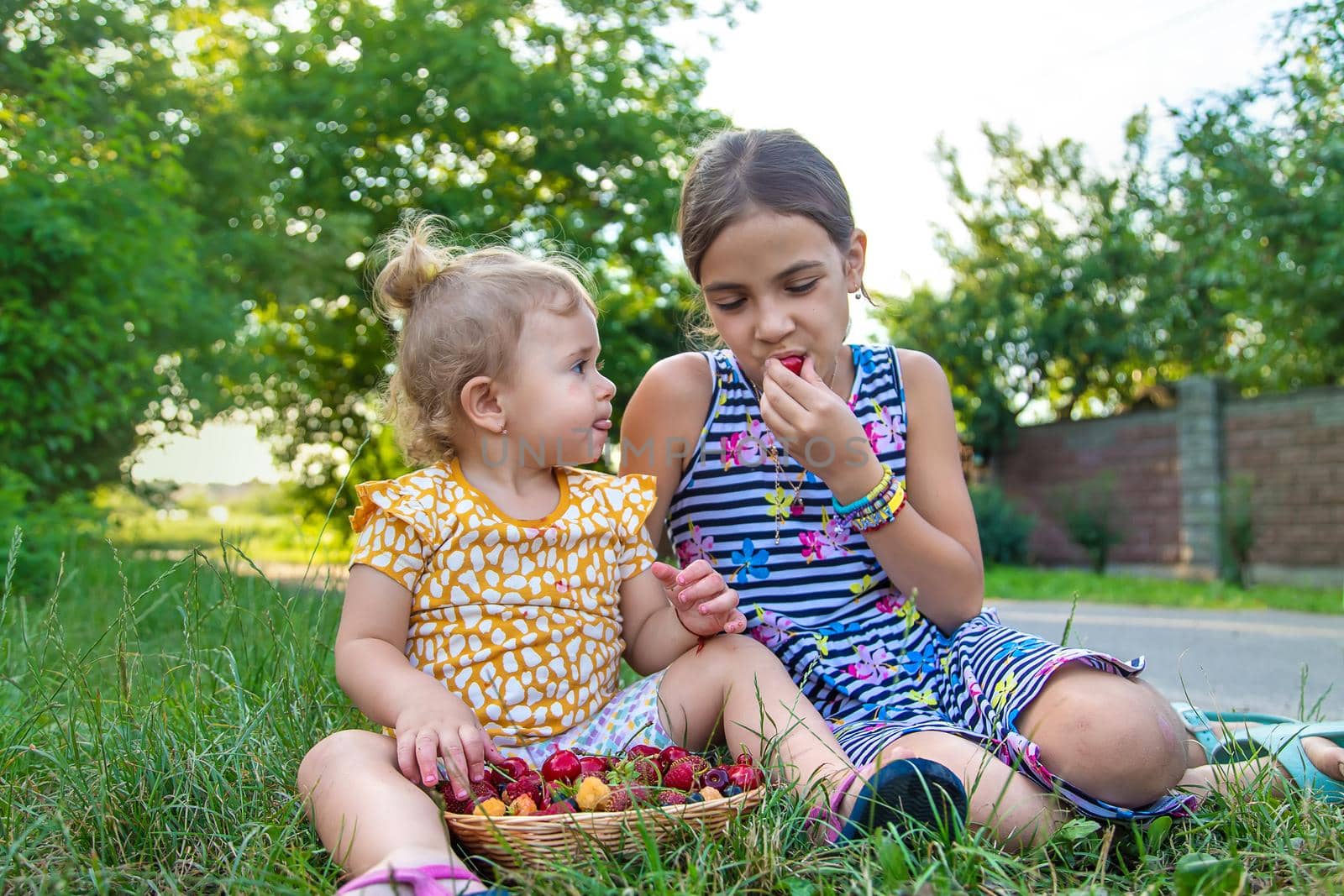 The child eats berries in the garden. Selective focus. Kid.