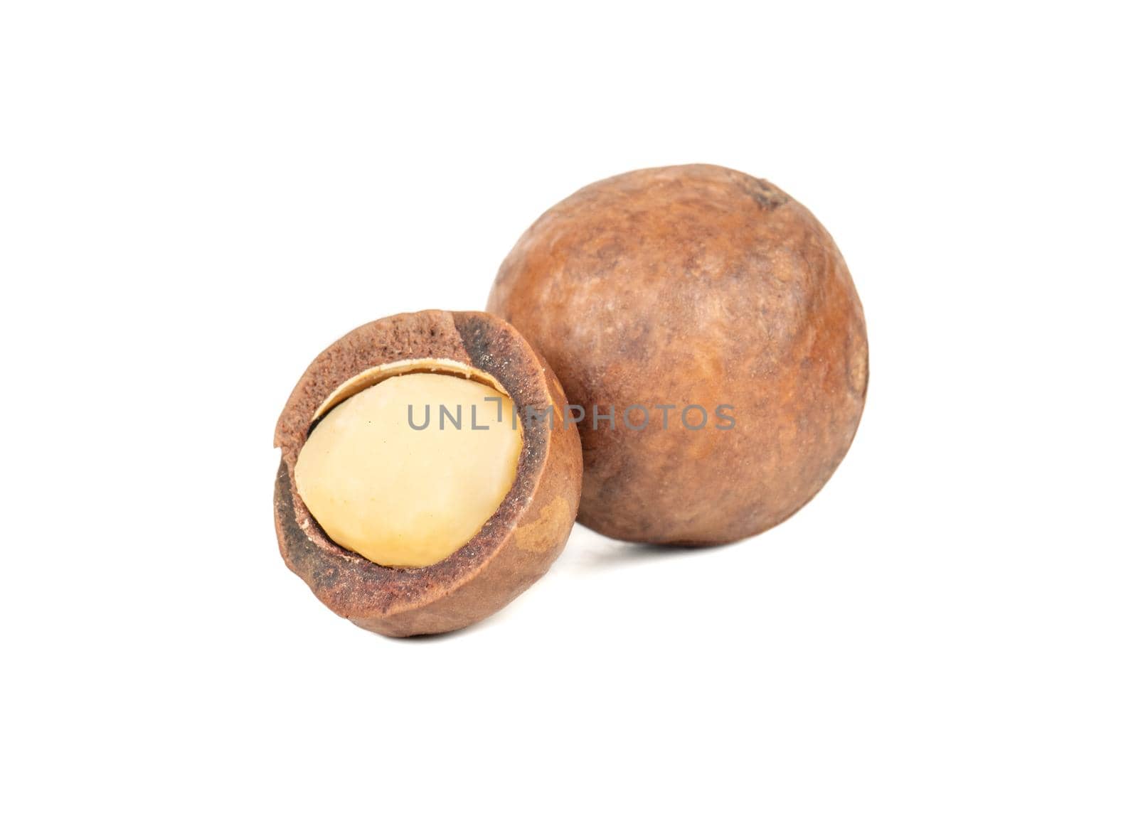 Split macadamia nut isolated on white background