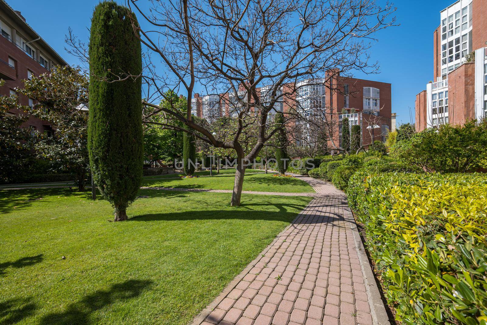 European courtyard in a modern residential complex for eco-friendly living in the Barcelona city, Spaine by apavlin