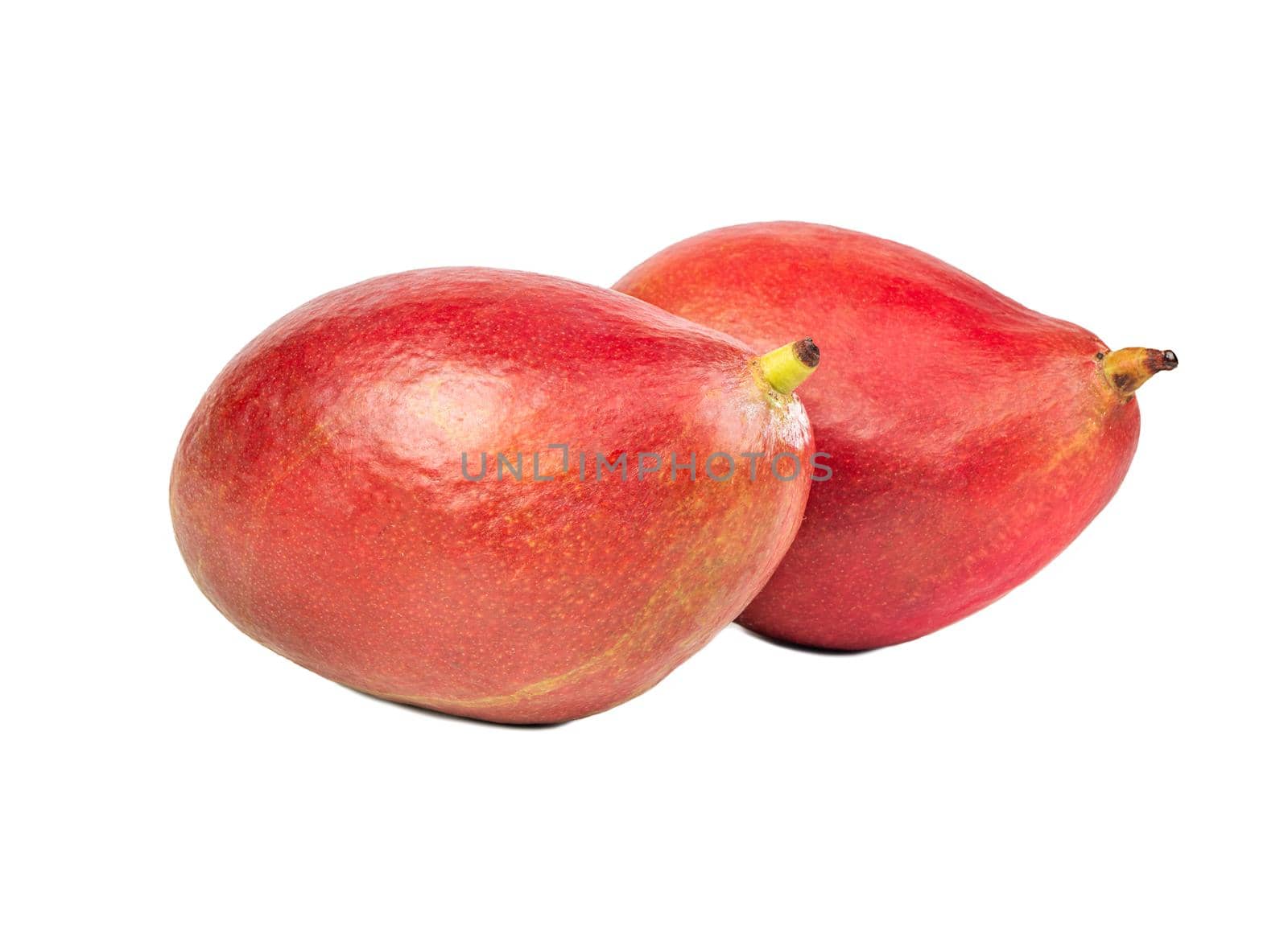 Two delicious red mango fruit isolated on a white background