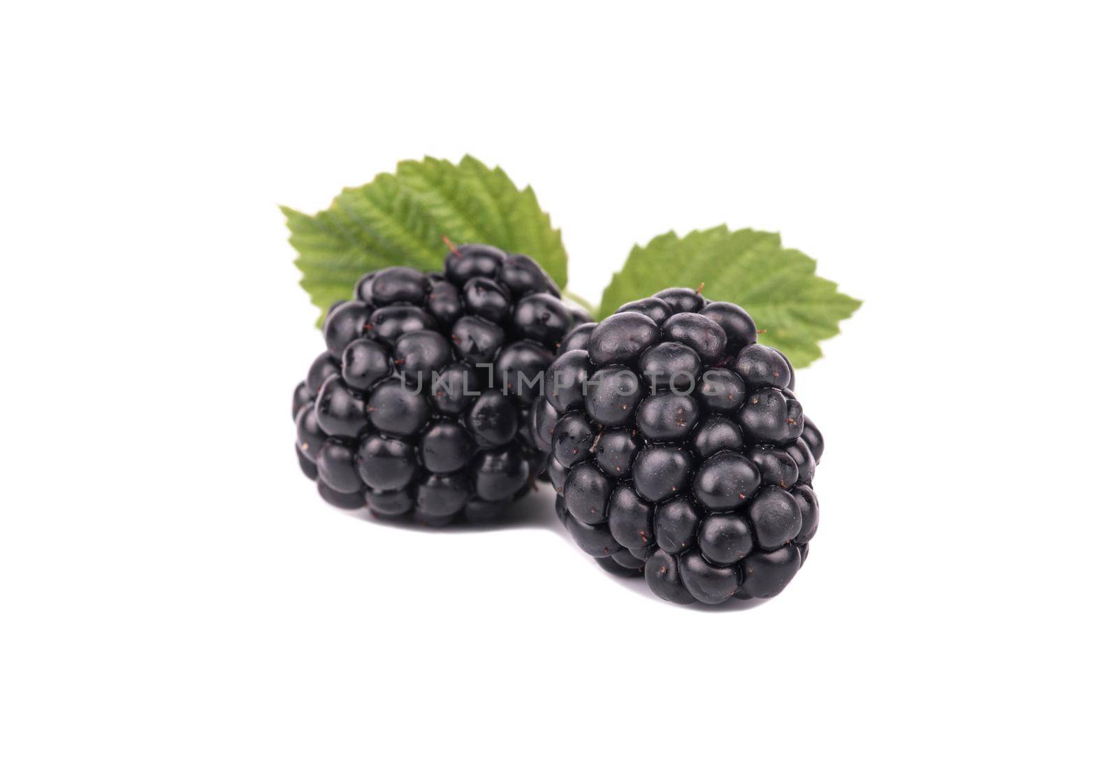 Two fresh blackberries with leaves isolated on white background
