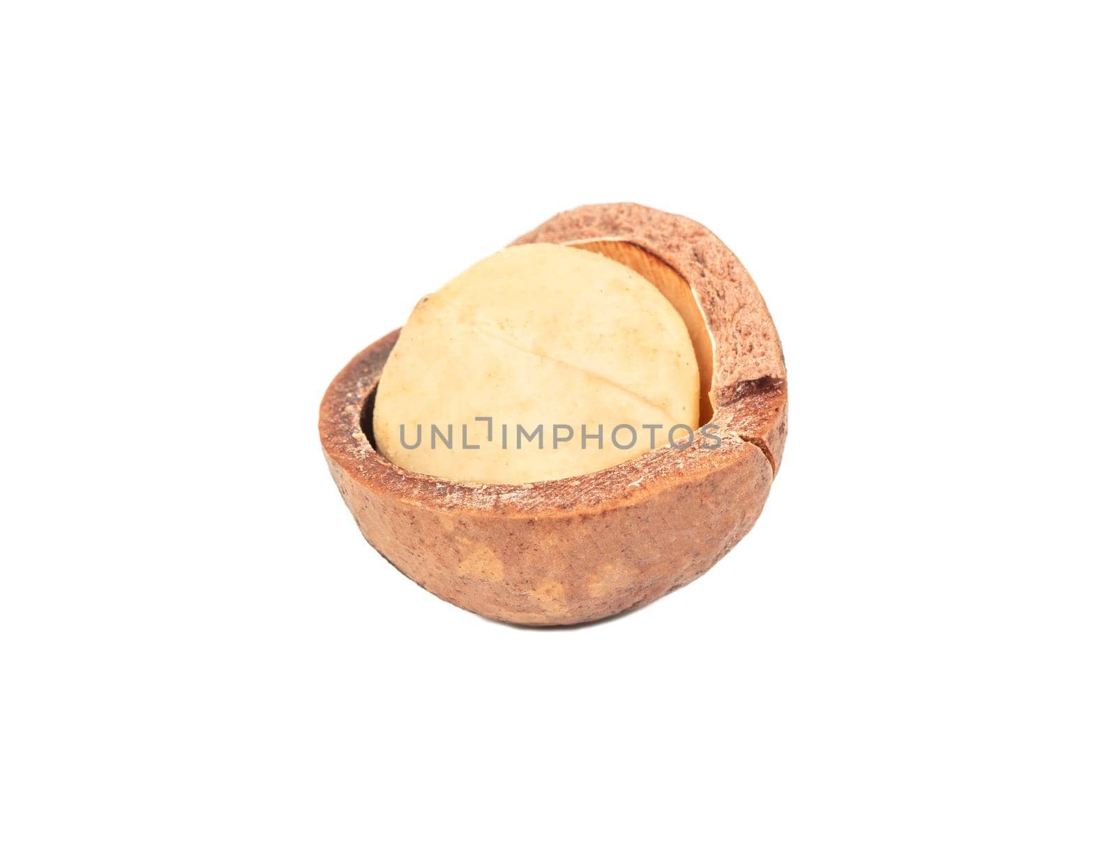 Open macadamia nut isolated on white background