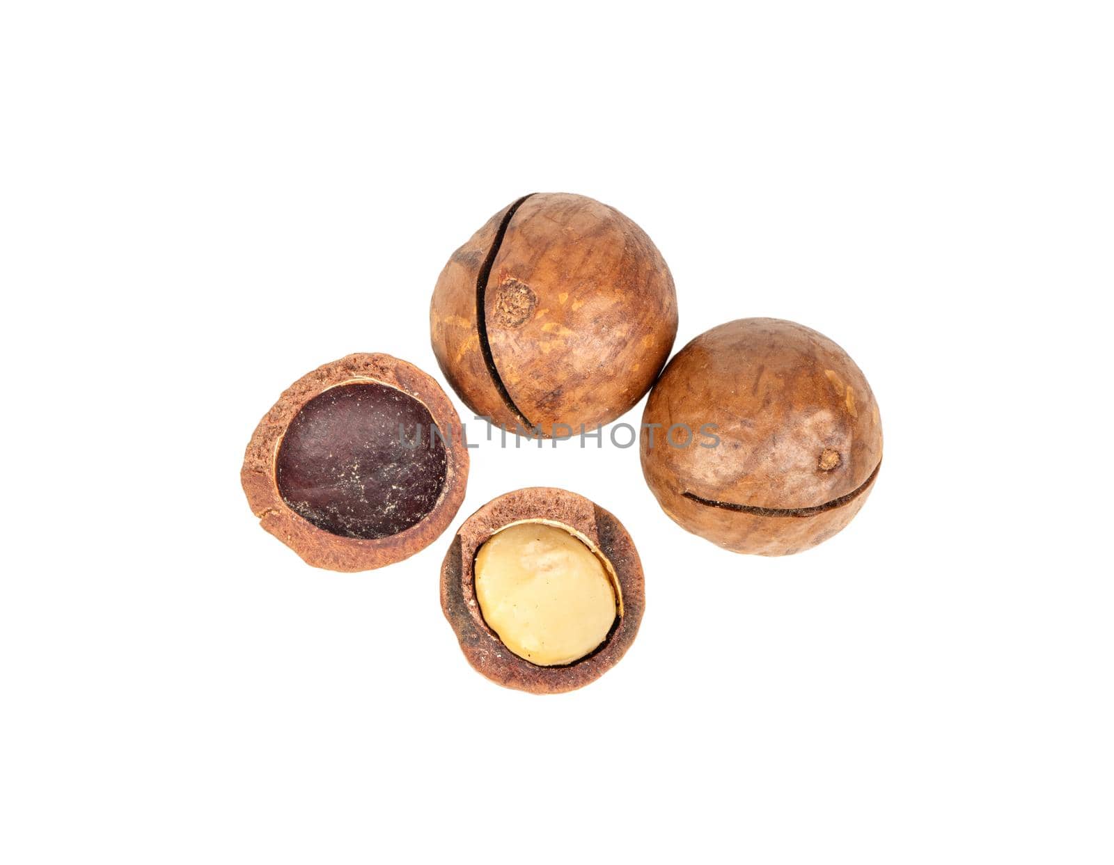 Macadamia nuts with a split half on a white background, top view