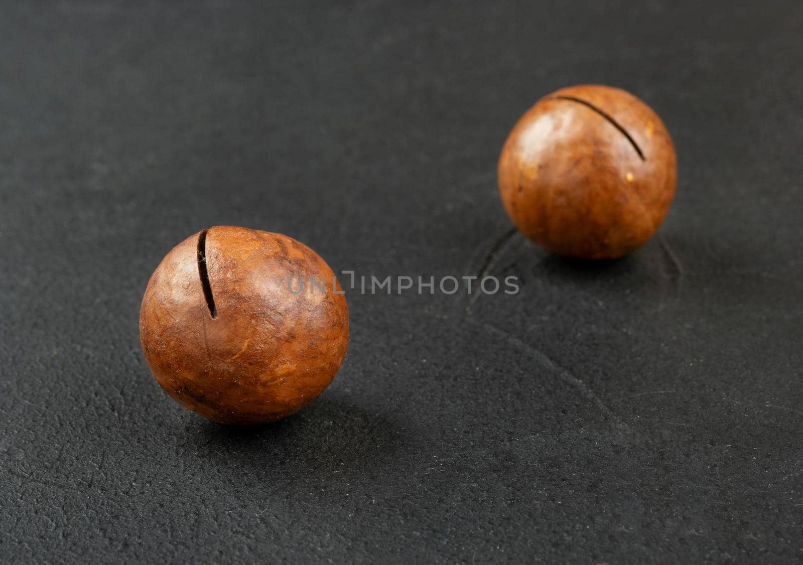 Two inshell macadamia nuts on a dark background