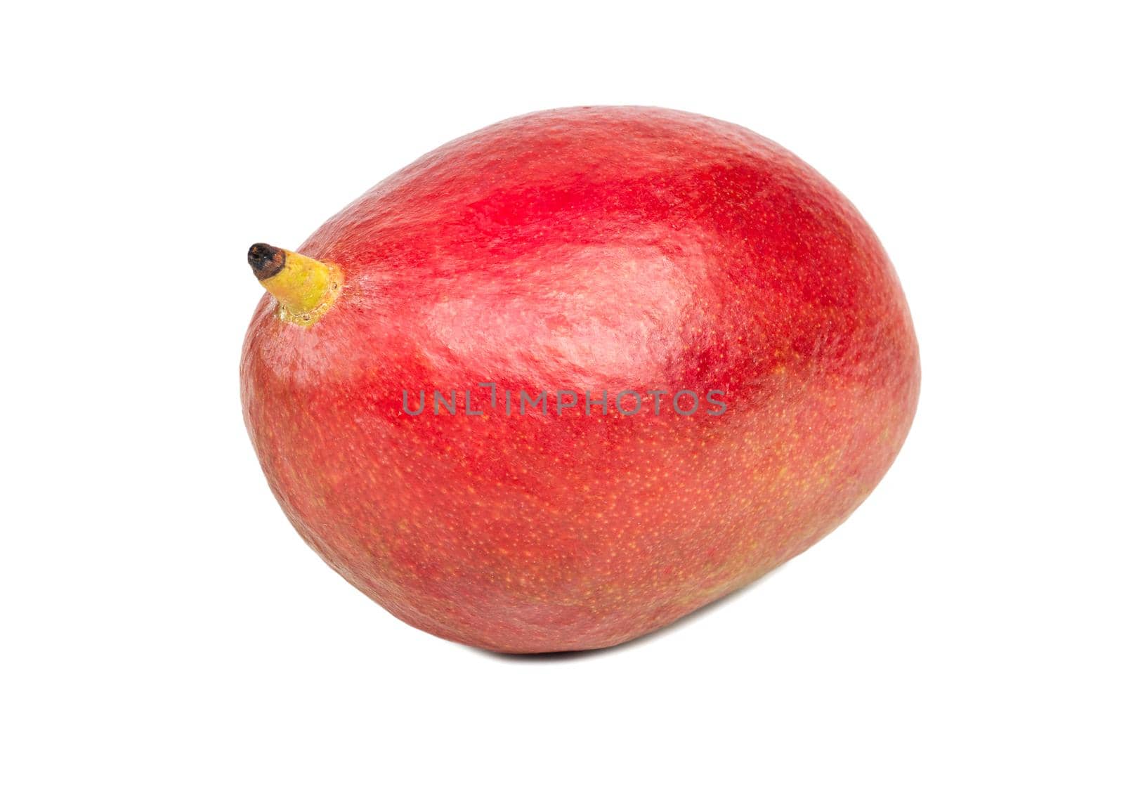 Delicious red mango fruit closeup isolated on white background