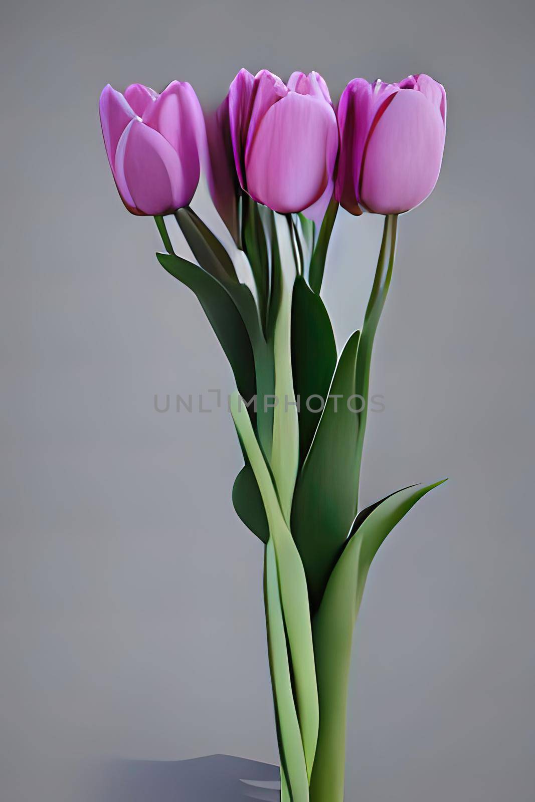bouquet of tulips on grey gradient background by yilmazsavaskandag