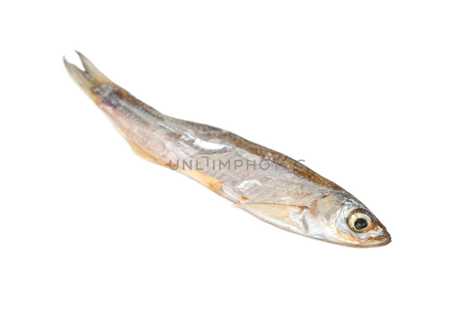Dry small fish isolated on a white background