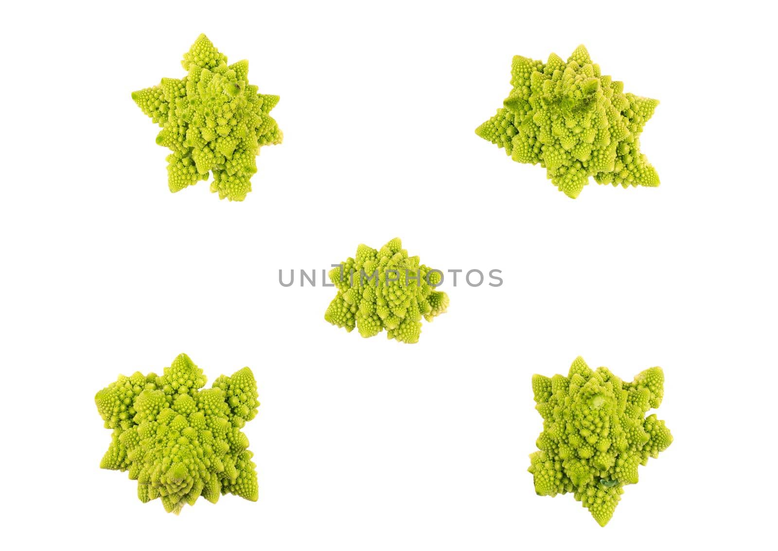 Cabbage romanesco by andregric