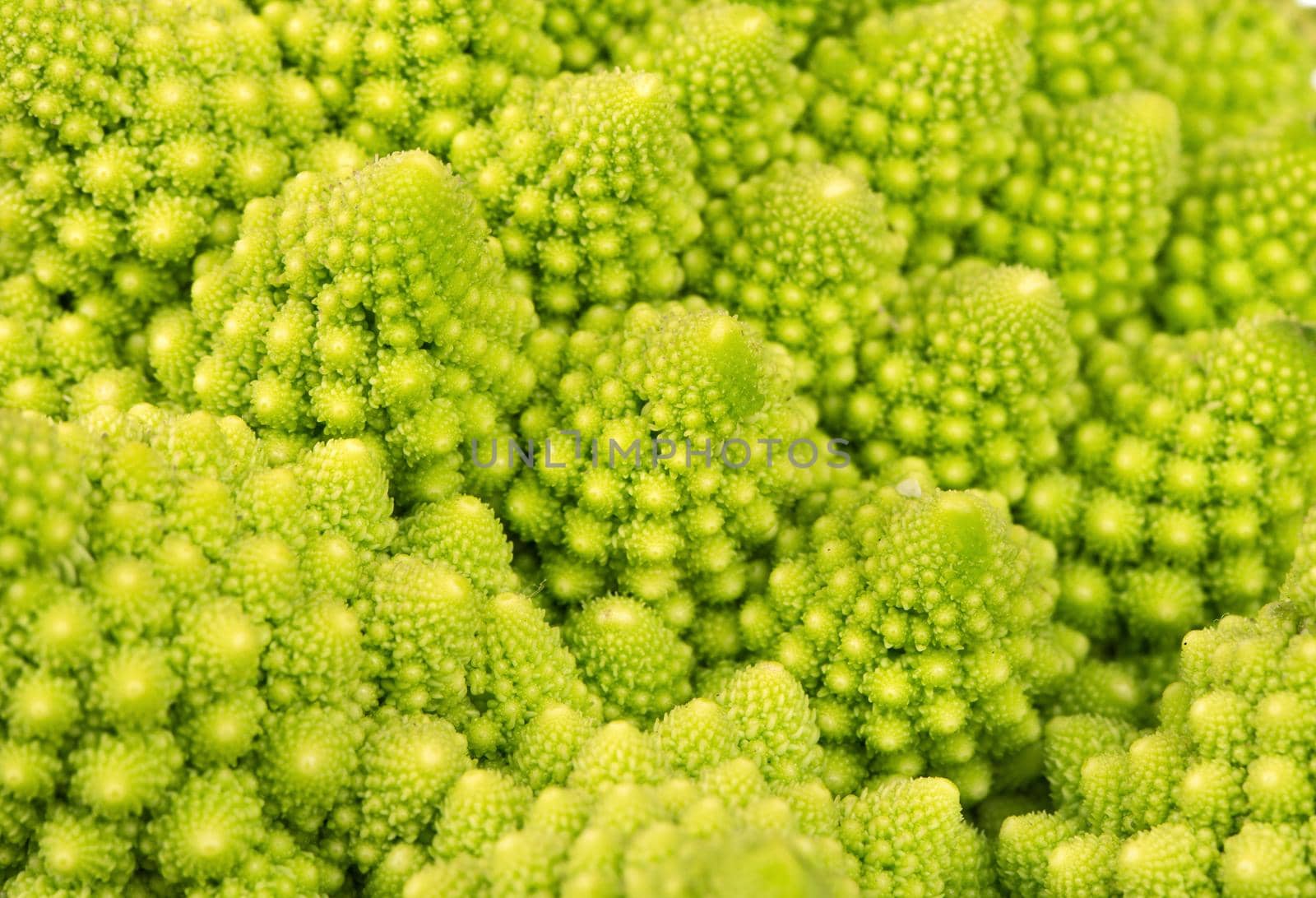 Small particles spiral Romanesco cabbage closeup