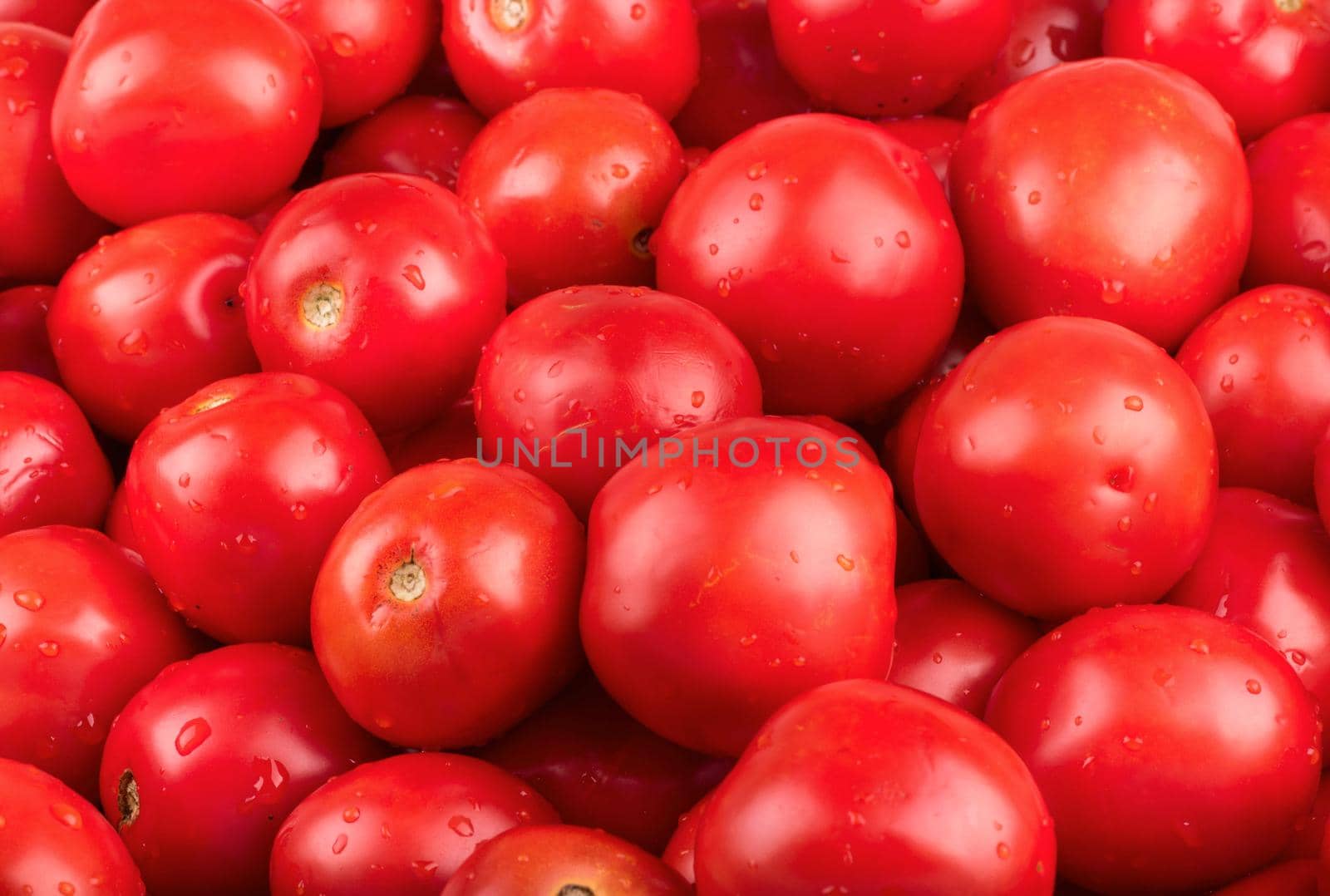 Background of red tomatoes with drops close-up