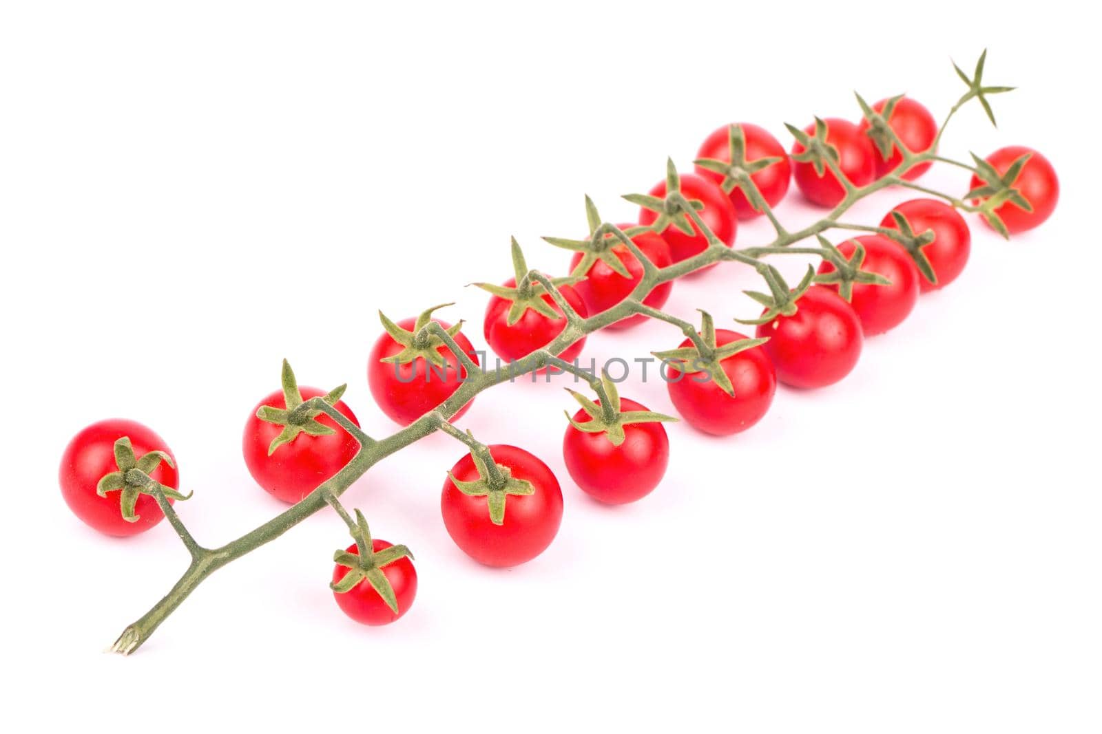 Sprig of small fresh red cherry tomatoes with drops on a white background